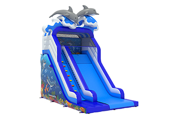 Dolphin Slide 3.6m Platform