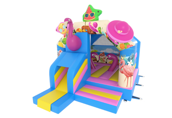 Slide Combo Summer Holiday Bouncy Castle