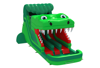 Crocodile Water Slide