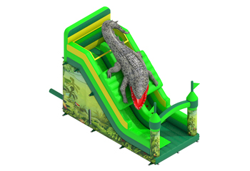 Crocodile King Slide