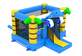 Front Slide Combo Dolphin Bouncy Castle